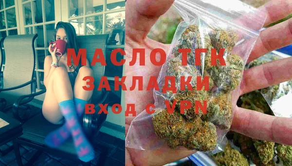 дмт Богданович
