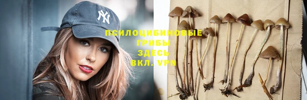дмт Богданович