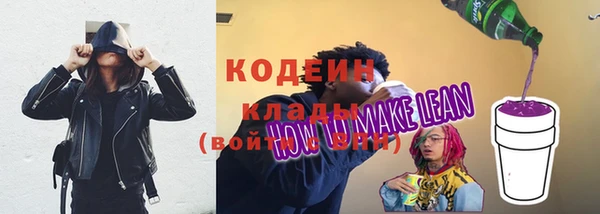 a pvp Бородино