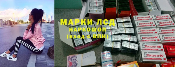 прущие грибы Баксан