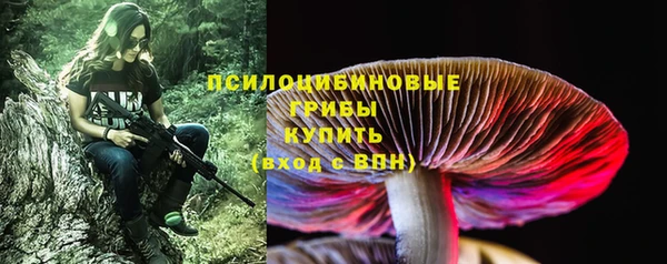дмт Богданович
