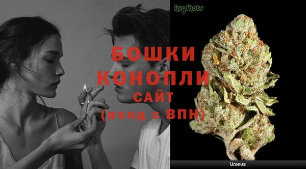 твердый Богородицк